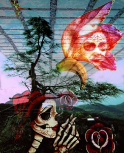 Many Faces~ Daniel Lippencott